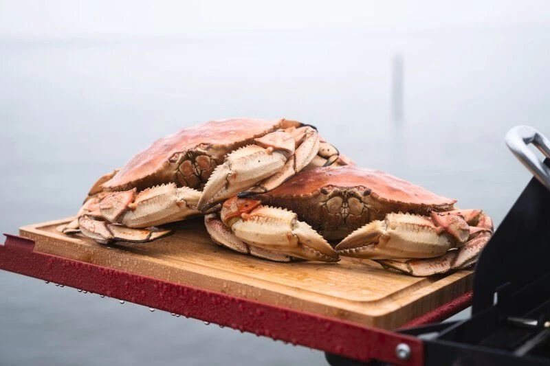 Camp Chef Folding Side Shelf Set For 14" Cooking Systems - Image 4